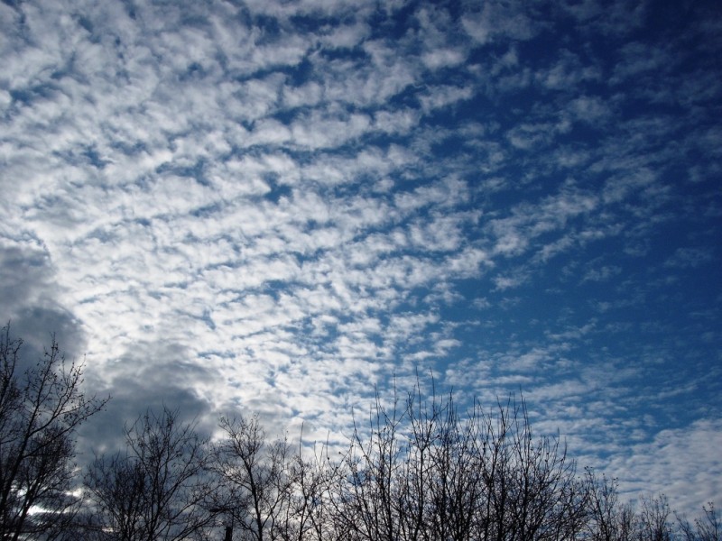 Altocumulus