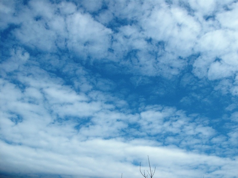 Altocumulus