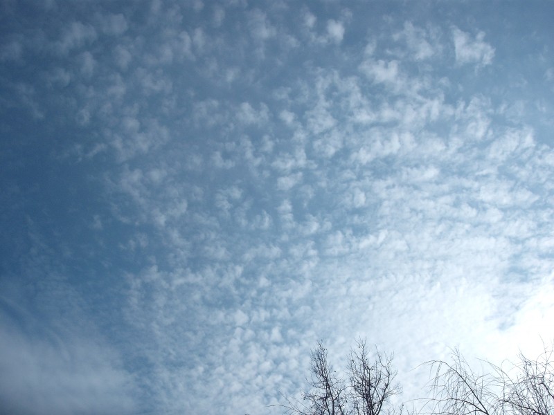 Cirrocumulus