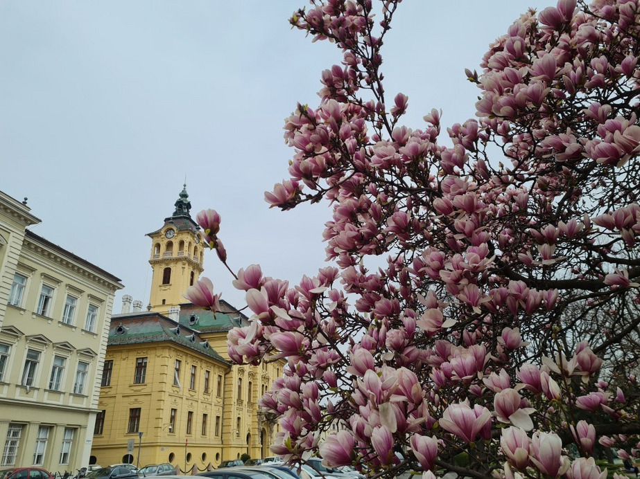 Szeged