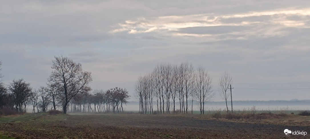 Tiszaszőlős