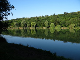 Pécs Malomvölgyi reggel  