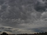 Mammatus