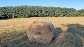 Szalmabála a Fáber-réten :)