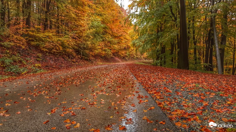 Kőszegi hegység 2016.10.21.