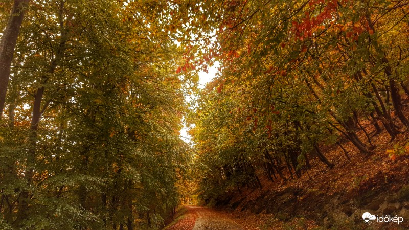 Kőszegi hegység 2016.10.21.