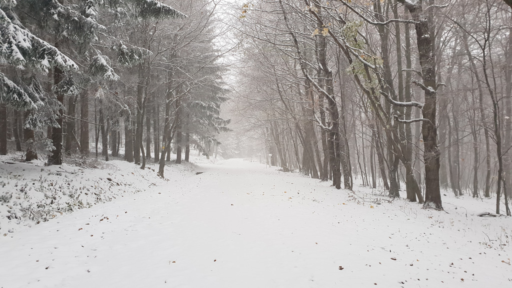 Kőszegi hegység 2018.11.19.