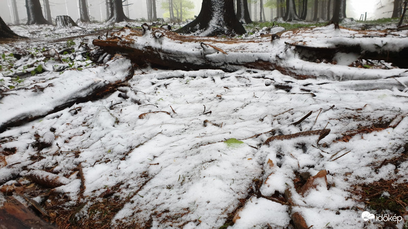 Írott-kő, Kőszeg 2019.05.05.