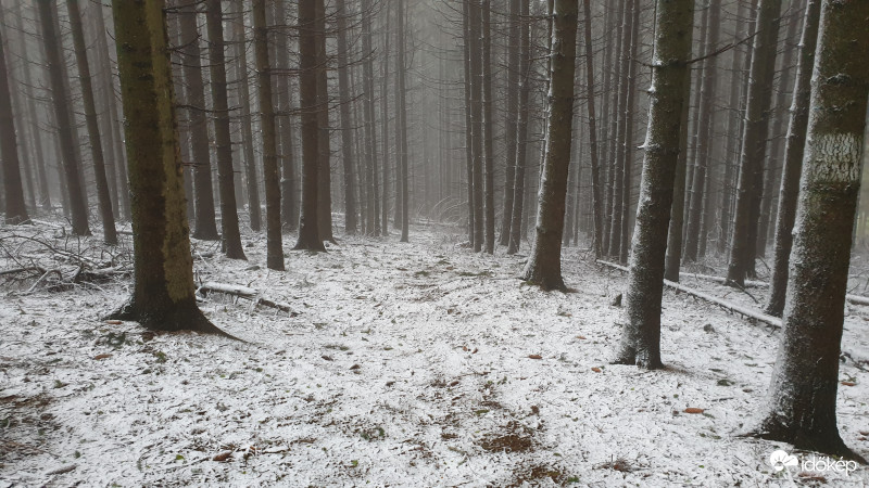 Írott-kő, Kőszeg 2019.05.05.