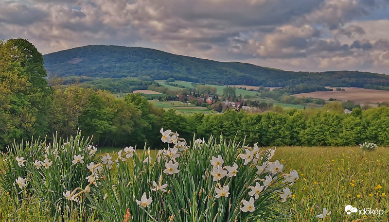 Panoráma a legelőről