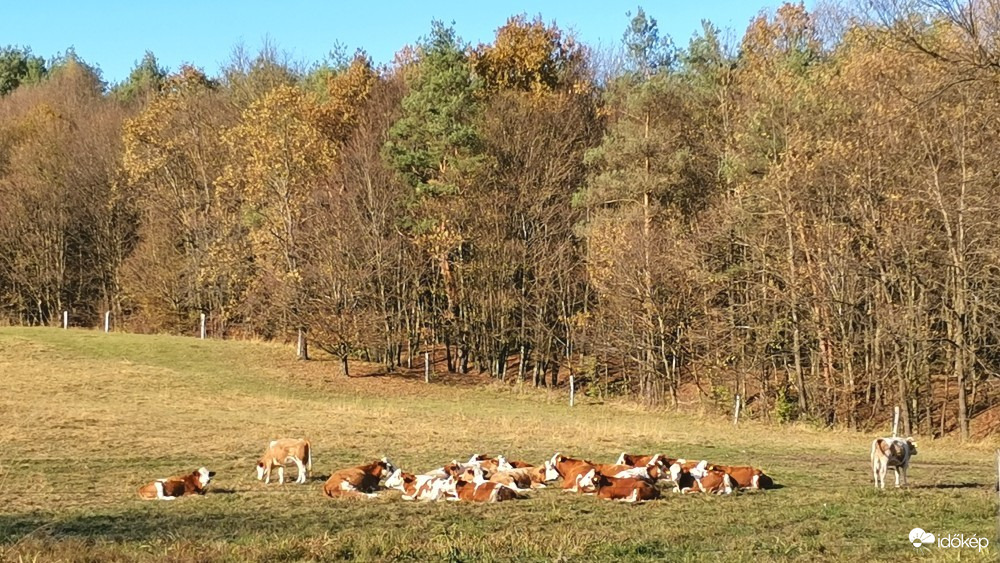 Nagykanizsa