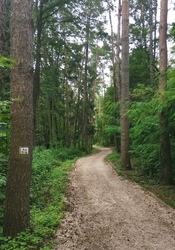 Sopron - Ciklámen tanösvény 