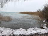 Balatonaliga