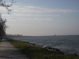 Balatonfenyves