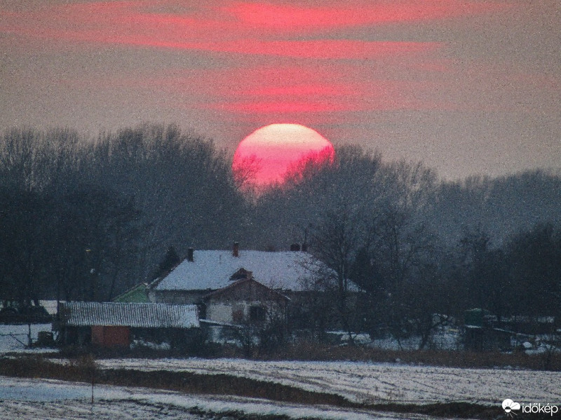 Csallóközaranyos