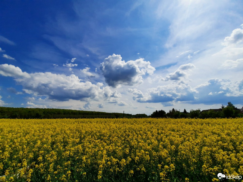 Nagykanizsa