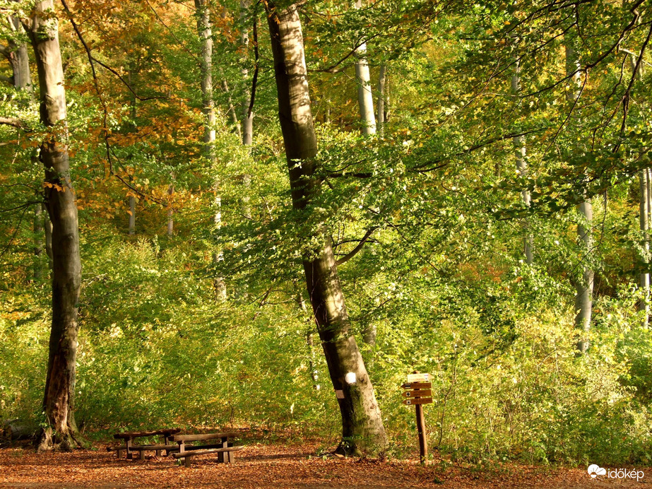 Pihenő a Pilis-nyeregben