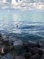 Balatonfüred