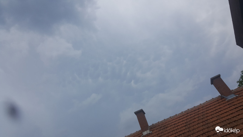 20210711_Mammatus(kicsi)