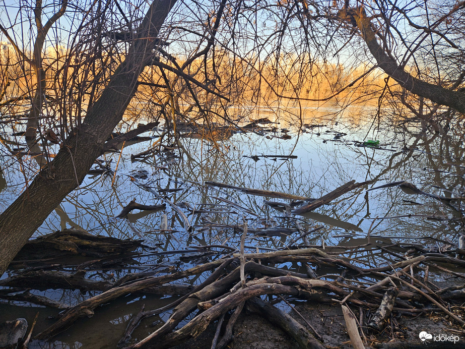 Tisza ártere