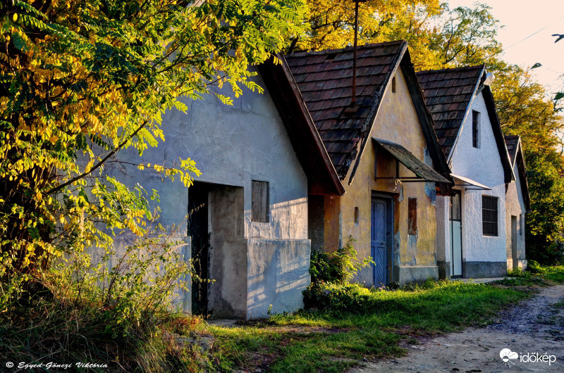 Ősz a pincesoron