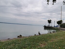 Balatonkenese