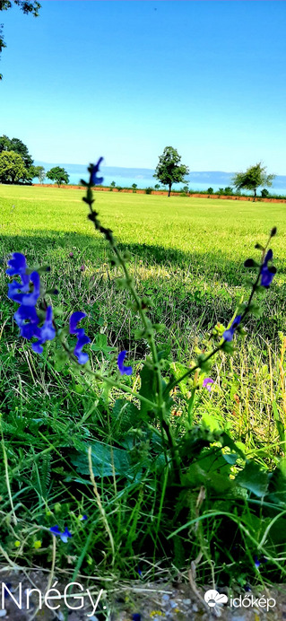 Balatonföldváron..