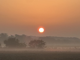 hagnes68 fotója