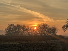 Jó reggelt 