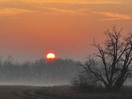 hagnes68 fotója