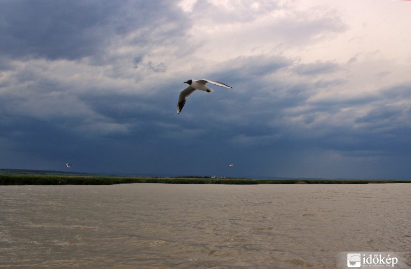 2014.06.29. 16 óra 6 perc Fertő tó