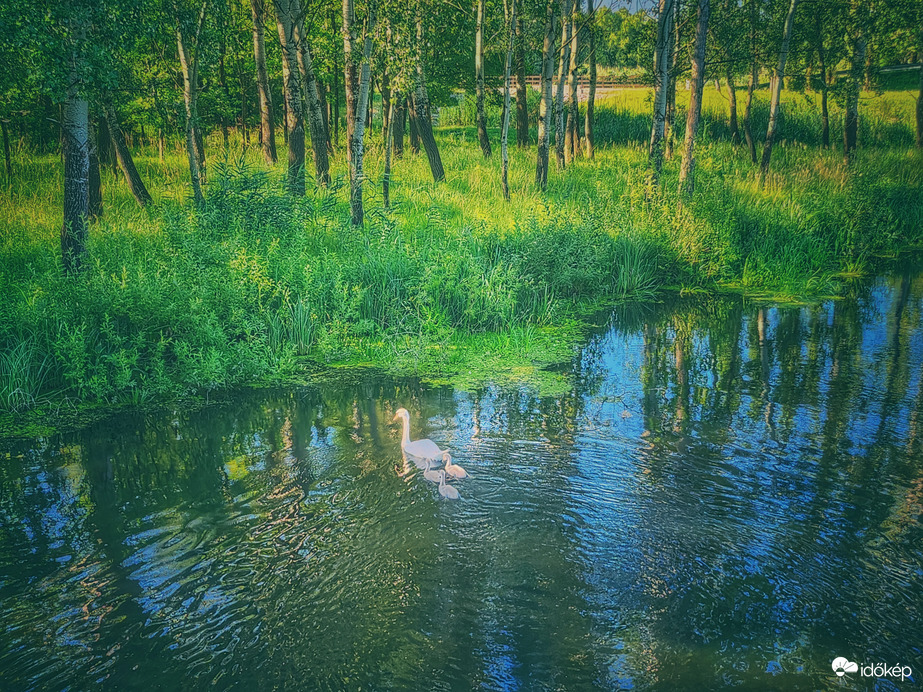 Csendes pihenő