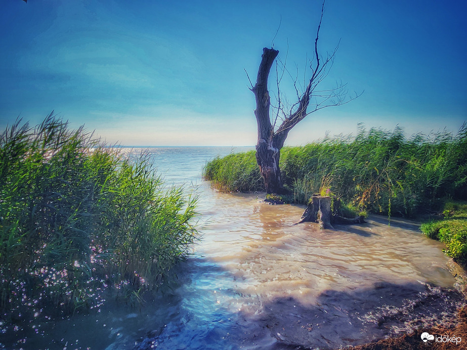 Nyár. Július. Balaton... megunhatatlan!