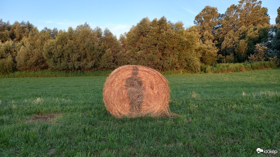 Felébredt a "Bálaember" :)