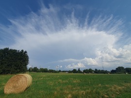 Közelít a süni ;)