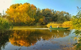 Ősz a Tisza-tavon 