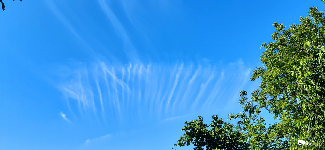 Székesfehérvár 24°C