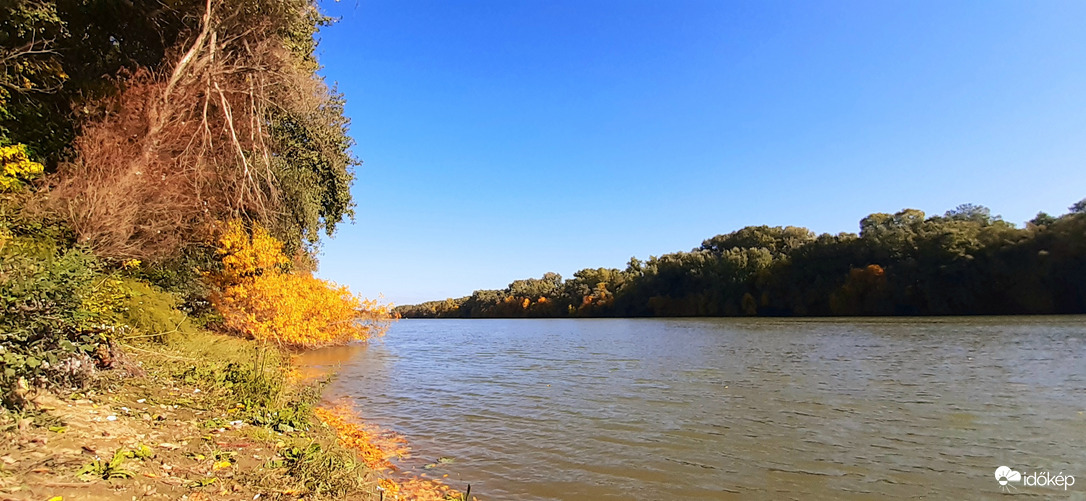 Algyő, Tisza