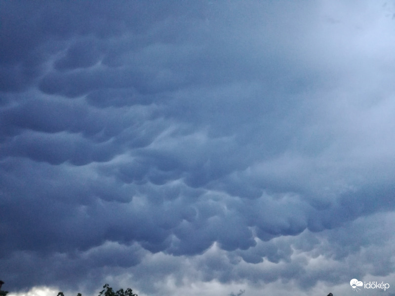 Mammatus