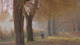 Veresegyház, Ivacsi-tó.