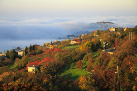 Pécs