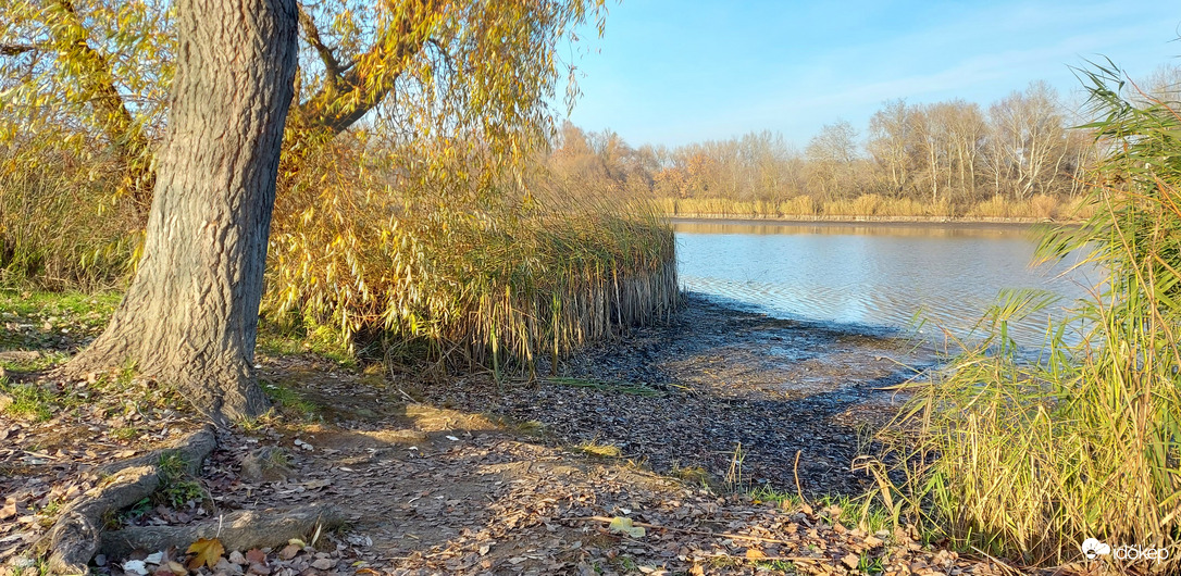 Téli vízállás a Tisza-tavon 11.