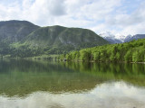 Bohinji-tó