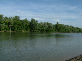 Tisza