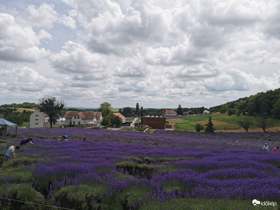 Pannonhalma