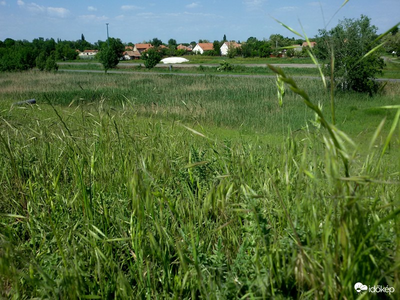 Lapulok a fűben