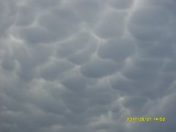 Mammatus Bolhón