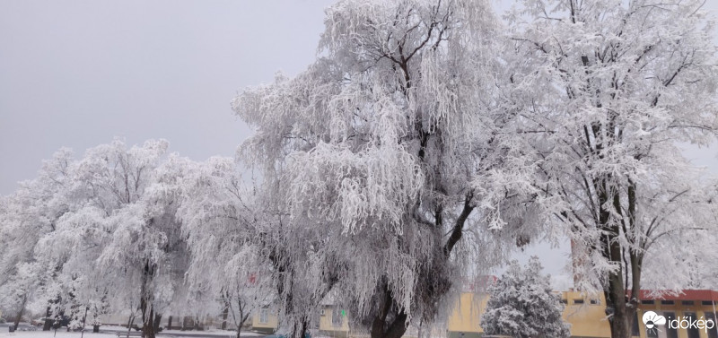 Kisvárda