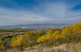 Hasznosi vár romjai