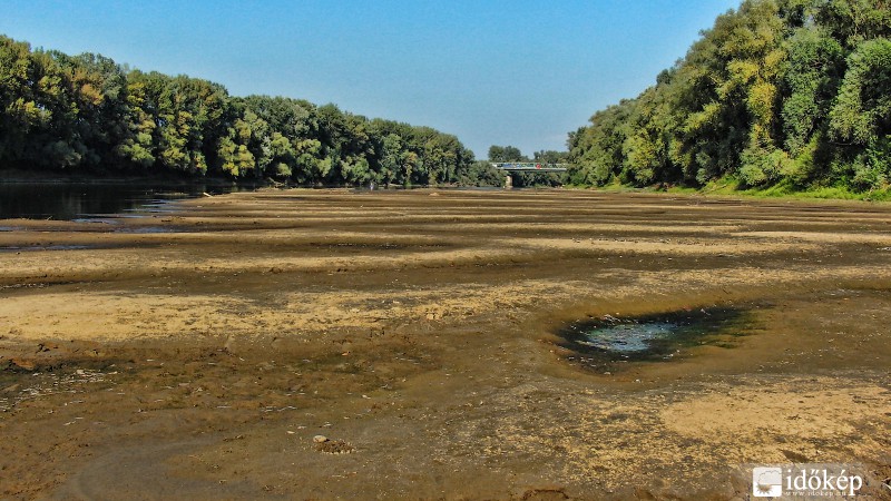 Tisza meder.